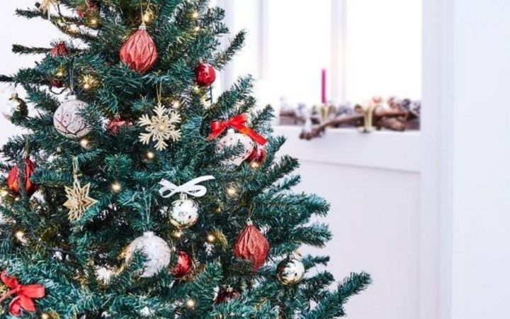 Weihnachtsbaumverkauf 17. Dezember 2022